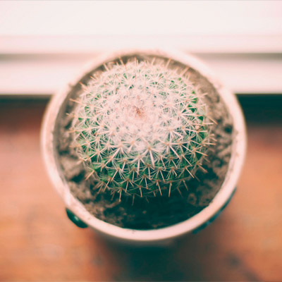 小黑ddos压力测试平台